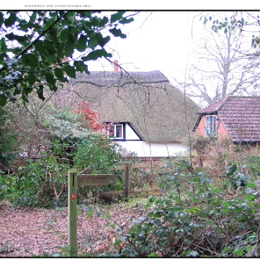 Ringwood, Hampshire, UK Nestled at the edge (now) of the New Forest, Ringwood is my home town in the UK
